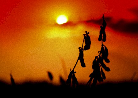 Mitigação das mudanças climáticas na agricultura é tema de palestra da Embrapa Soja no Simpósio da Aprosoja