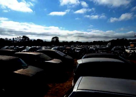 Detran abre leil&atilde;o com 229 ve&iacute;culos para circula&ccedil;&atilde;o e sucatas