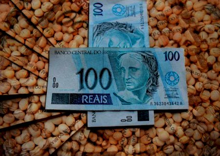 Preço da soja opera em alta no Brasil e volume das vendas aumenta