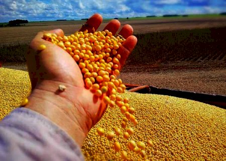 Funda&ccedil;&atilde;o MS orienta produtores sobre plantio e manejo da cultura da soja