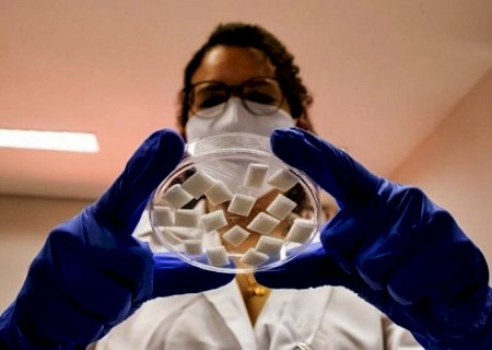 Brasileiros criam curativo para regeneração óssea bucal: biodegradável