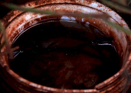Mato Grosso do Sul é o 4º estado do Brasil com maior incidência de dengue