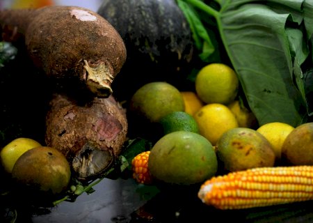 No Brasil, 14% da população se considera vegetariana