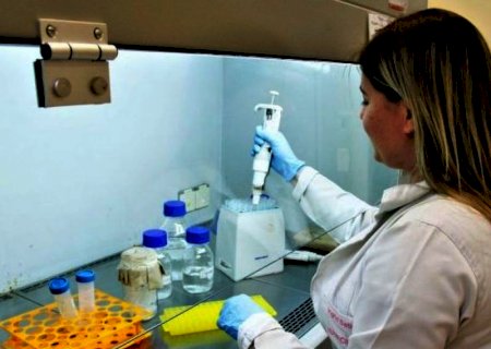 Mato Grosso do Sul é o Estado que mais investe em bolsas de doutorado