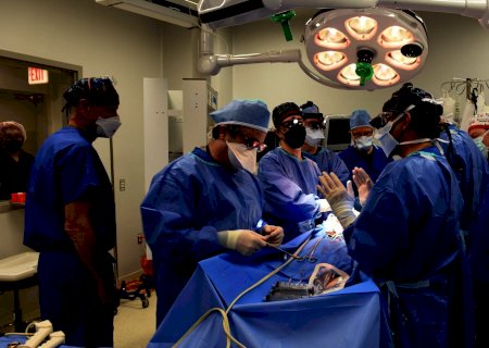 Cirurgiões americanos realizam com sucesso transplante de coração de porco em homem