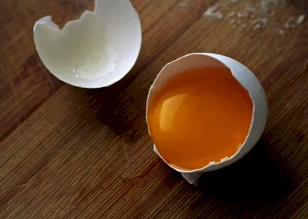 Casca de ovo é matéria-prima para preenchedores dérmicos