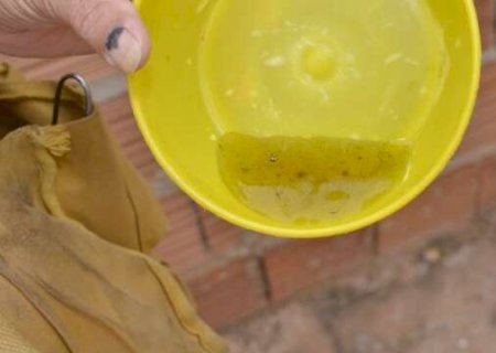Homem de 50 anos é a terceira vítima da dengue do ano em MS - CREDITO: CAMPO GRANDE NEWS