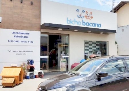 Quando e quais vacinas seu cachorro precisa tomar?