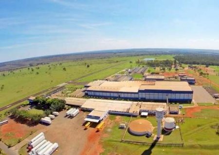 F&aacute;brica de hamb&uacute;rguer oferece 60 vagas de emprego em unidade de MS