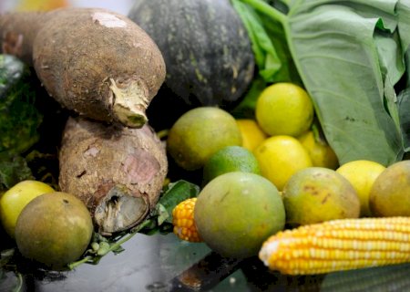 Guia do Ministério da Saúde traz dicas para alimentação de crianças