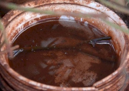 Dengue faz 19ª vítima em Mato Grosso do Sul