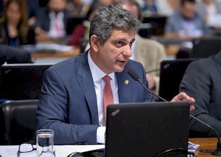 Proposta prevê que SUS garanta gestação mais segura para mãe e filho