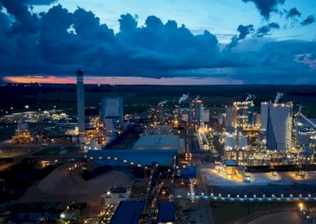Suzano oferta 21 vagas para estágio em Mato Grosso do Sul