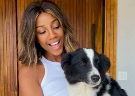Camilla de Lucas é criticada após mostrar novo pet: “Melhor adotar”