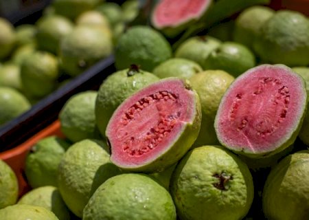 AgroBR auxilia produtores rurais a alavancarem exportações de produtos da agropecuária
