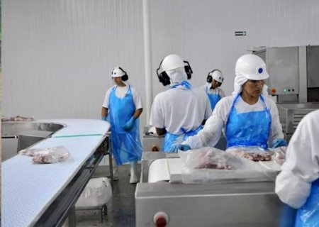 Frigorífico abre mais de 90 vagas em Anastácio, Naviraí e Nova Andradina