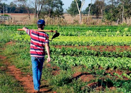 Comissão aprova projeto que altera pontos da Lei da Reforma Agrária