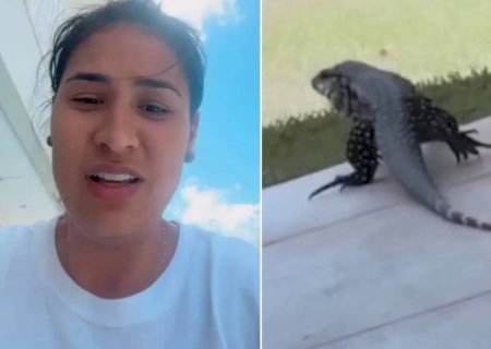 Vídeo. Animal invade mansão de Simone Mendes e assusta cantora