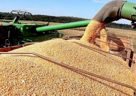 MS pode registrar novo recorde de área plantada e produtividade da soja safra 22/23