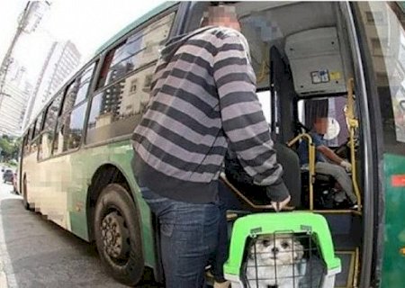 Agência de Regulação orienta passageiros sobre transporte de pets em ônibus intermunicipal