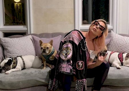 Lady Gaga é processada por mulher envolvida em roubo de pets da cantora