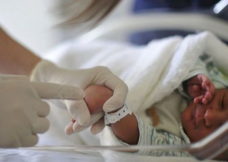 Projeto determina controle estatal de bancos de sangue de cordão umbilical