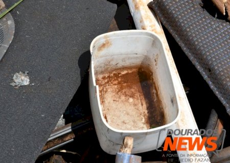 Quatro mortes em MS estão em análise por suspeita de dengue