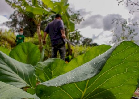Cadastro da Agricultura Familiar: governo vai prorrogar prazo