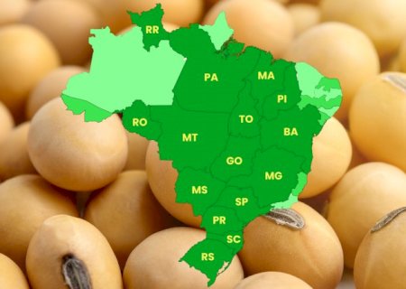 Lista nova! Confira os 10 municípios que mais produzem soja no Brasil