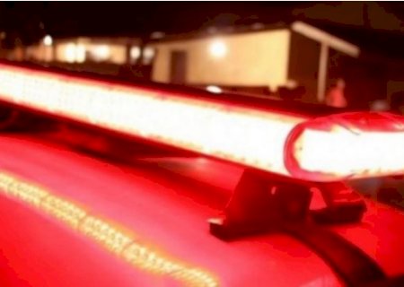 Não perdoaram a galinha: ladrões invadem e fazem 'limpa' em casa