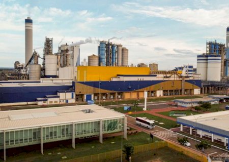 Suzano está com vagas abertas para áreas de Saúde e Segurança e Florestal