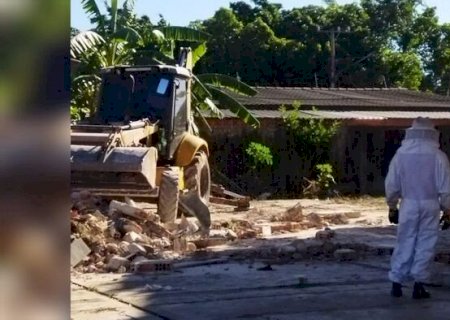 Operador de máquina é encurralado por abelhas e resgatado por Bombeiros em Corumbá