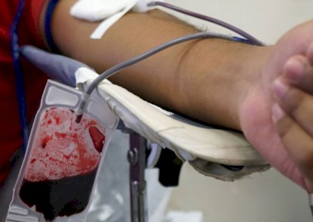 Fiocruz desenvolve kit que detecta sangue infectado com malária
