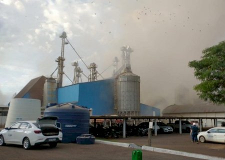 C.Vale: causa da explosão ainda não foi identificada, diz cooperativa