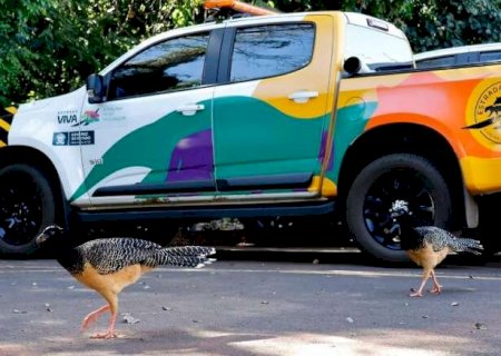 H&aacute; um m&ecirc;s no cargo, diretor de Meio Ambiente fala em reformular o Estrada Viva