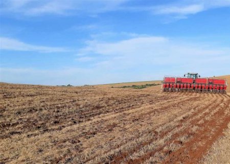 Chuva de até 156 milímetros traz alívio a produtores de soja
