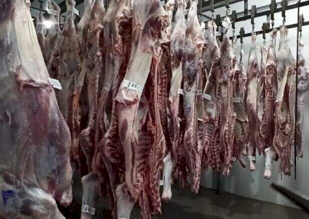Número de abates de gado e aves cai, enquanto os de suínos crescem em Mato Grosso do Sul