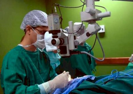 MS poder&aacute; fazer o primeiro transplante de f&iacute;gado em 2024