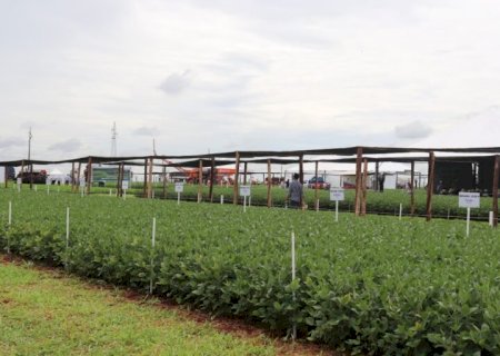 Coamo inaugura em Dourados a primeira Fazenda Experimental no Mato Grosso do Sul