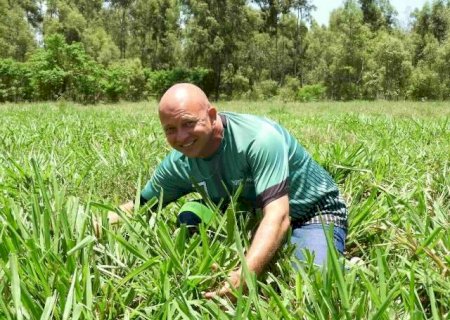Com novo pasto, produtor de MS abra&ccedil;a Sistema Diamantino