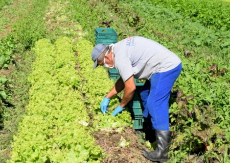 Projeto cria programa de renegociação de dívidas de pequenos agricultores