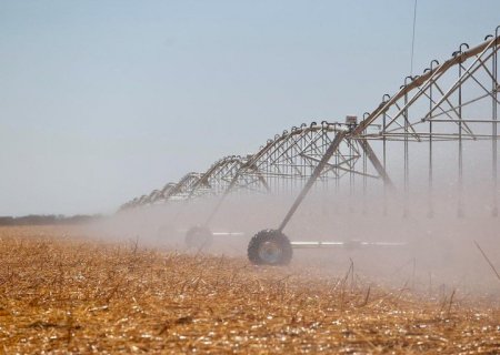 Saiba como receber incentivos fiscais para produção agrícola irrigada