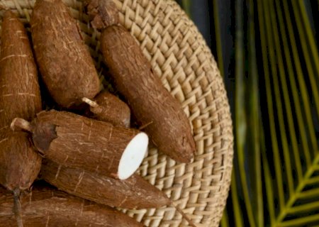 Intolerância à lactose? Bebida bebida fermentada à base de mandioca pode ajudar