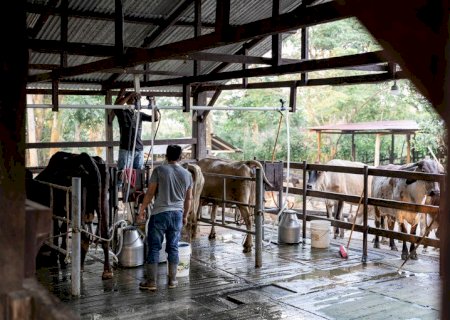 Crédito especial para cooperativas de agricultura familiar já está disponível