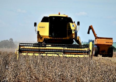 Confira como iniciam os preços do agro nesta quarta em Dourados