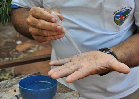 Cresce casos de dengue em MS e duas mortes são investigadas