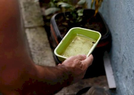 Dicas simples podem livrar sua casa dos focos do aedes aegypti 