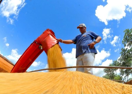Exportações de MS crescem 17,4% em janeiro com destaque para celulose, soja e minério de ferro