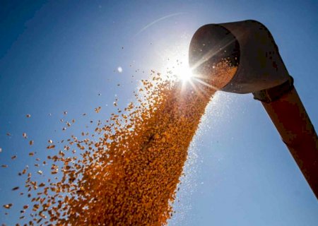MS deve produzir 26 milhões de toneladas de grãos em 2024, segundo IBGE