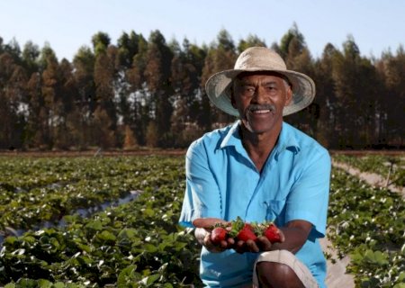 Dia do Agronegócio: é tempo de comemorar mais ou reivindicar?